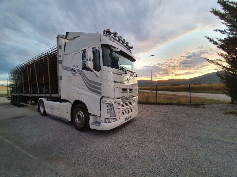 Transports Brun - Transport plateaux / camion grue – Haut-Rhin (Alsace)